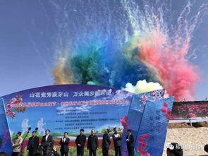 狼牙山今日爆料,揭秘不为人知的背后故事