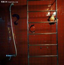 日本sm介绍,激情与禁忌的交织