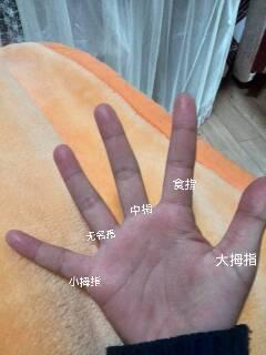 五根手指在线观看,五根手指的在线观看之旅