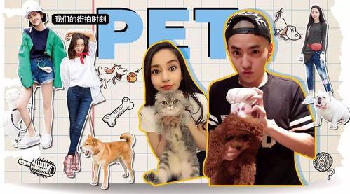 每日热搜明星,今日热门人物风云录